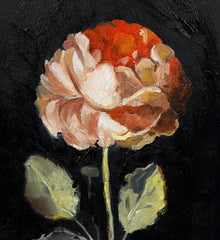 Painting of a rose with red and pink petals on a black background