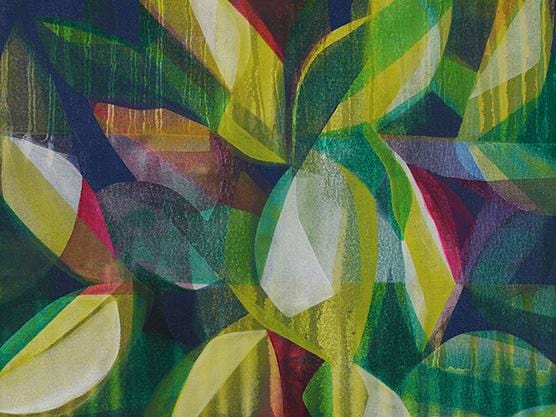 Manty Dey art botanical paintings