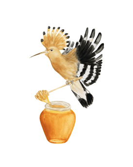 Volta Voloshin-Smith, Hoopoe on a Honey Jar - Original Painting