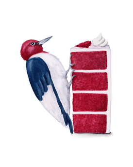 Volta Voloshin-Smith, Red Headed Woodpecker on a Red Velvet Cake - Original Painting