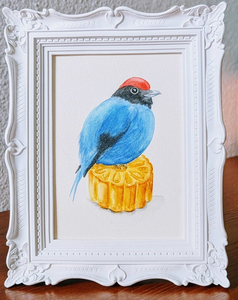 Volta Voloshin-Smith, Swallow Tailed Manakin on a Mooncake - Original Painting