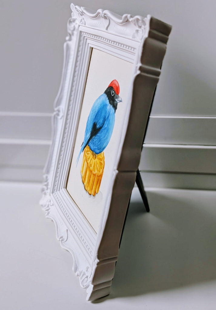Volta Voloshin-Smith, Swallow Tailed Manakin on a Mooncake - Original Painting
