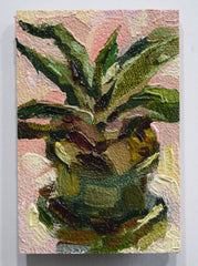 Chloe McEldowney, Baby Aloe - Original Painting