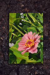 Chloe McEldowney, Garden Shadow - Original Painting