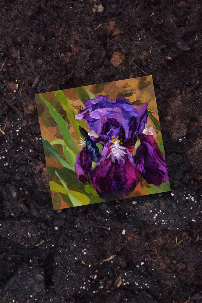 Colorful painting of an iris on a dark soil background