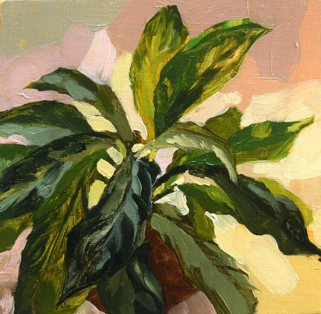 Chloe McEldowney, Leafy Houseplant - Original Painting