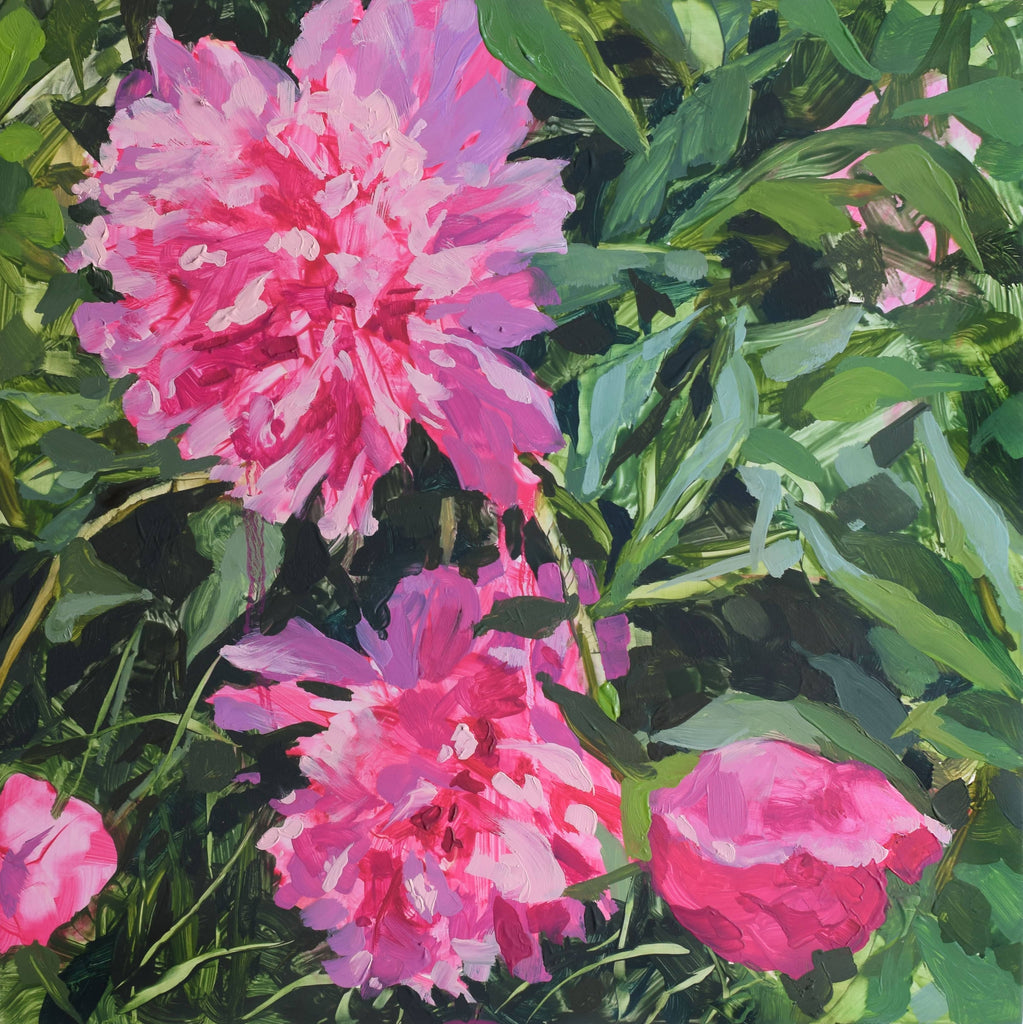 Chloe McEldowney, Peony in Pink - Original Painting