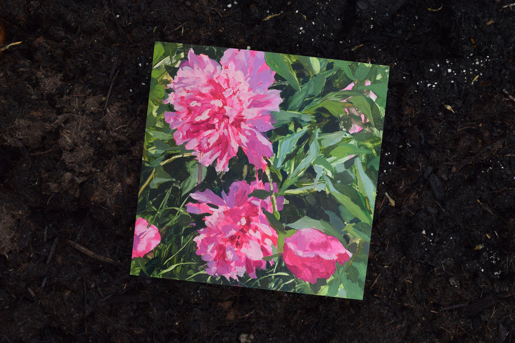 Chloe McEldowney, Peony in Pink - Original Painting