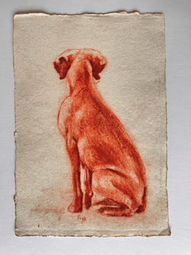 Piya Samant original dog drawing contemporary art