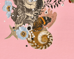 Collage of flowers, butterflies, and shells on a pink background