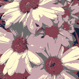 Limited edition fine art screenprints Naomi Arbuthnot